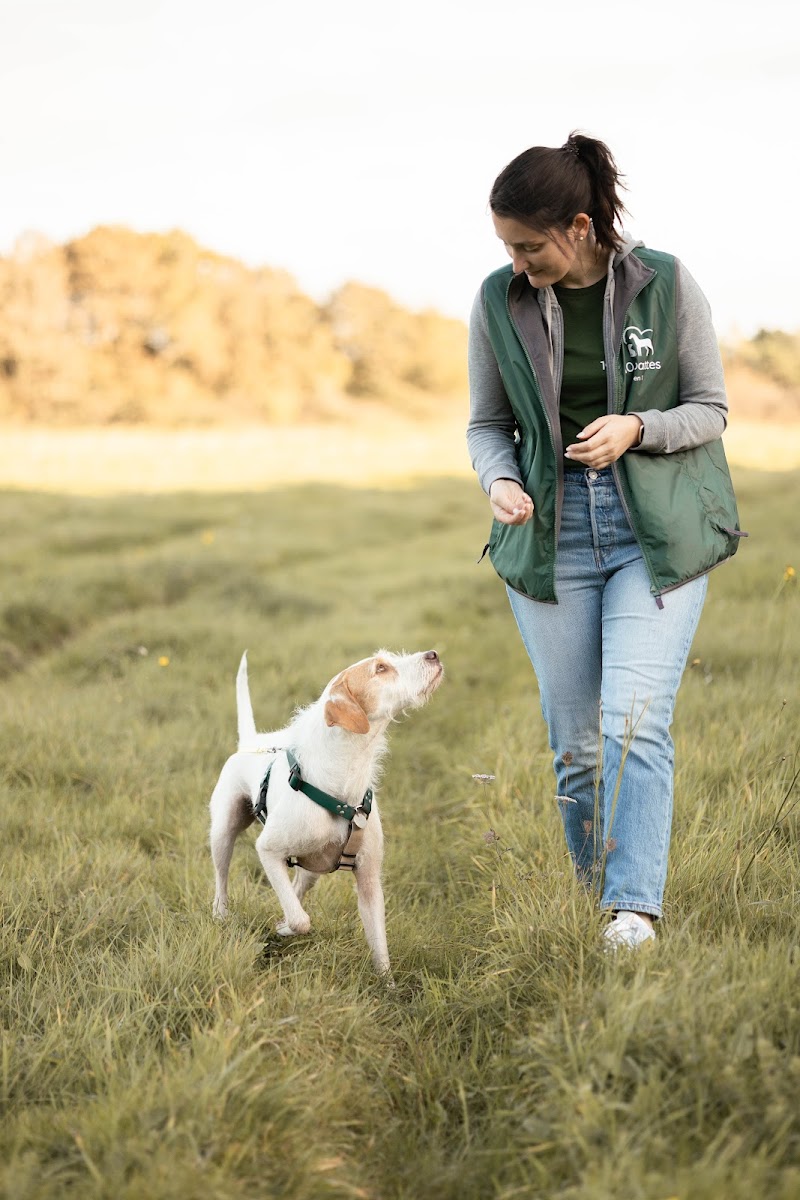 10 pattes en 1 - comportement et éducation du chien et du cheval — dogsitter à Saint-Nazaire