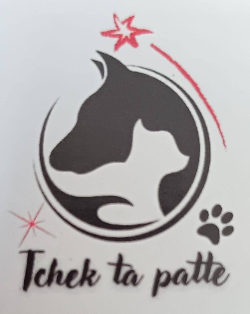 Tchek ta patte — dogsitter à Saint-André-de-Cubzac