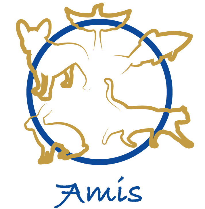 7Amis — dogsitter à Rennes