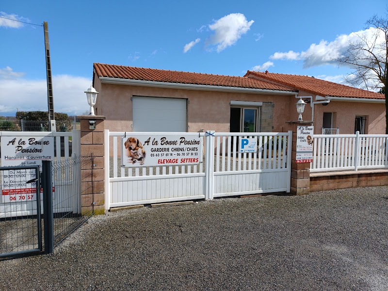 A la bonne pension — dogsitter à Gaillac