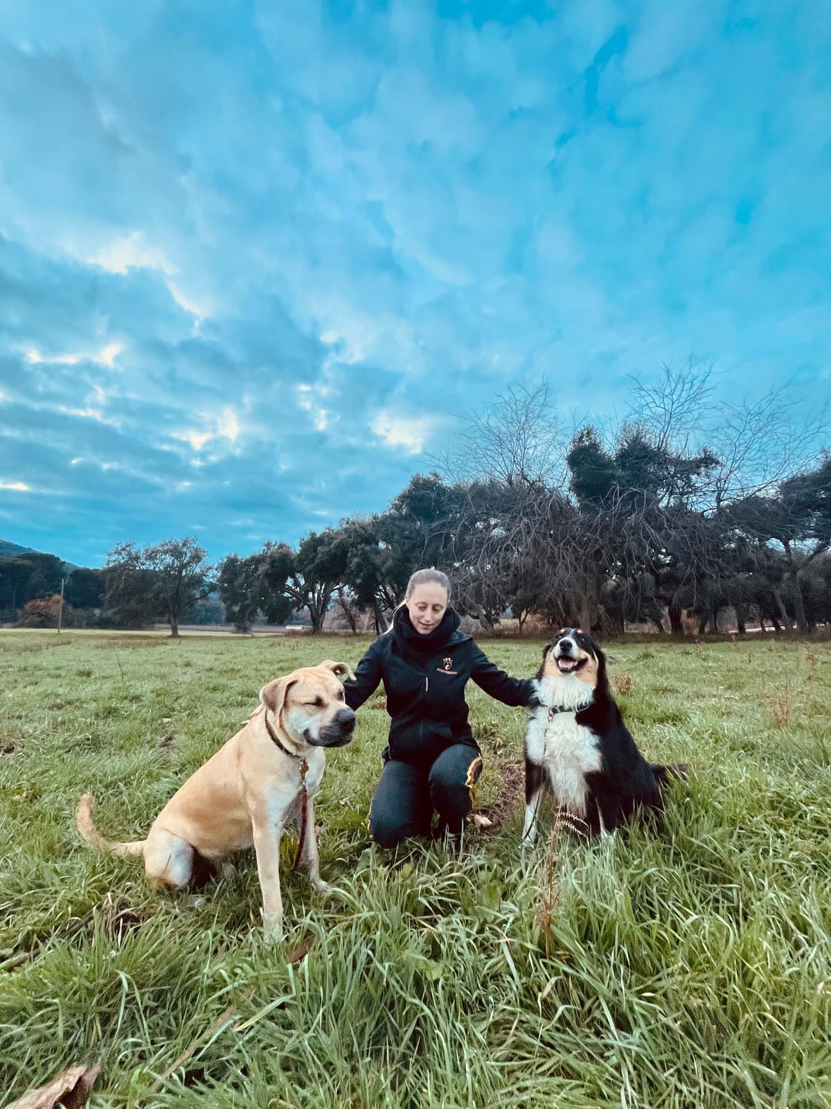 Dogs friendly — dogsitter à Cogolin