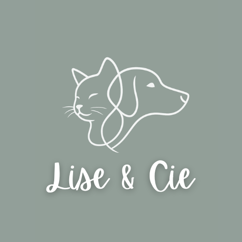 Lise & Cie — dogsitter à Châteaugiron