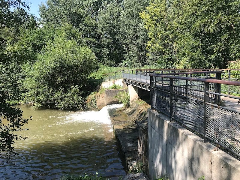 Abfluss Brumath — dogsitter à Haguenau