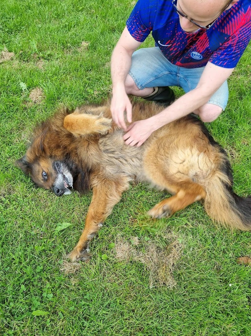 Anidzo — dogsitter à Lannemezan