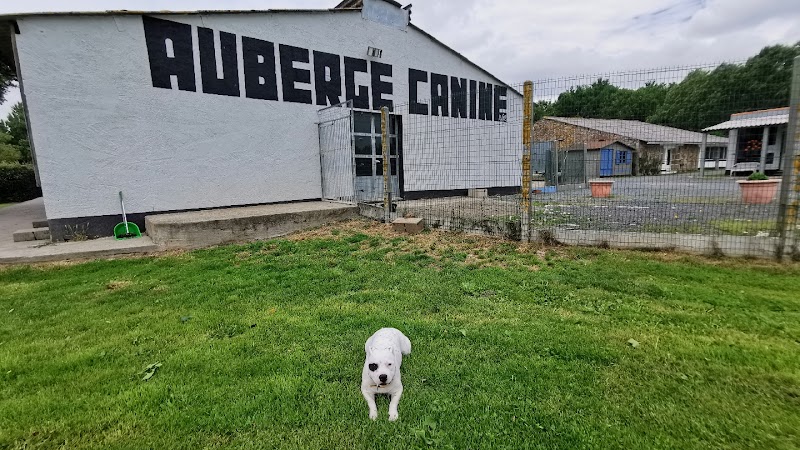 AUBERGE CANINE DE L'ÉDEN ANIMAL — dogsitter à Sèvremoine