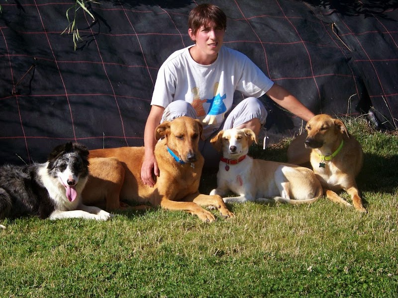 Aux Joyeux 4 Pattes — dogsitter à Rive-de-Gier