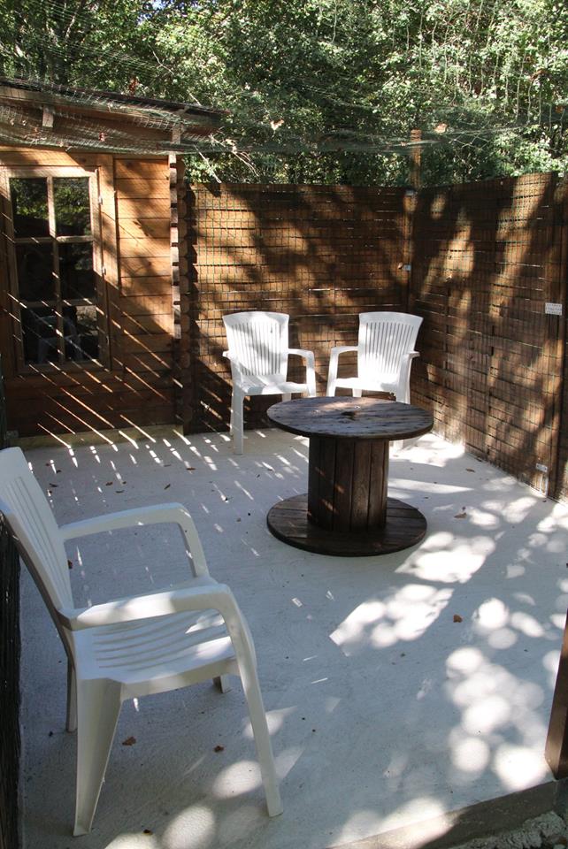 Axelle and Co — dogsitter à Jonzac