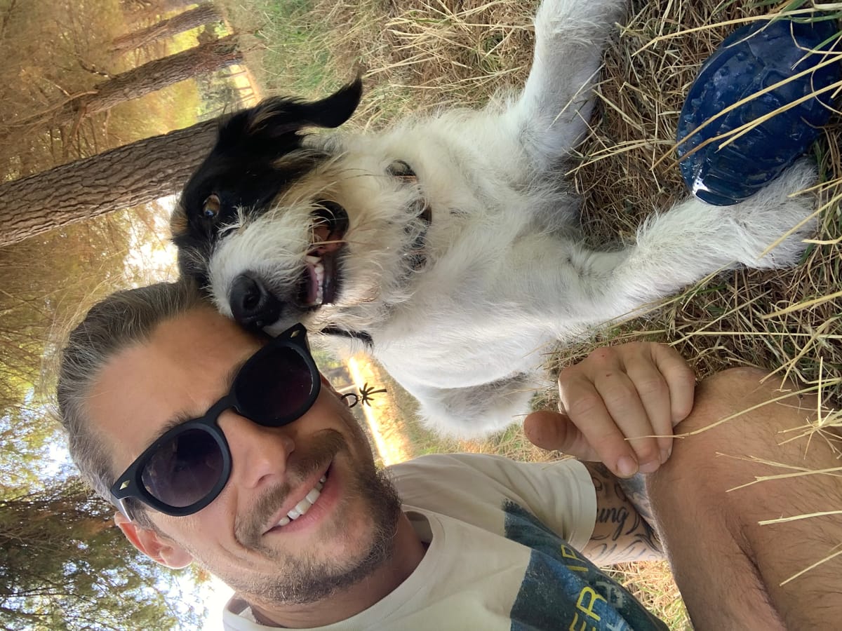 Oeil Animal — dogsitter à Montpellier