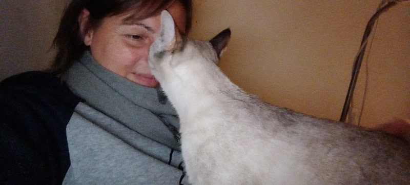 Bienveill'Ange — dogsitter à Colmar