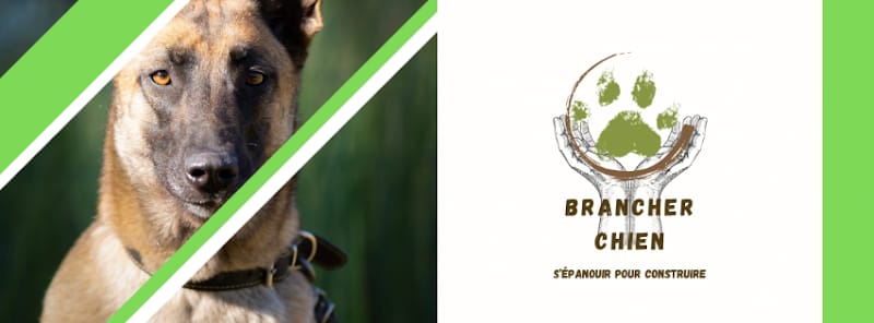 Brancher chien — dogsitter à Le Vigan