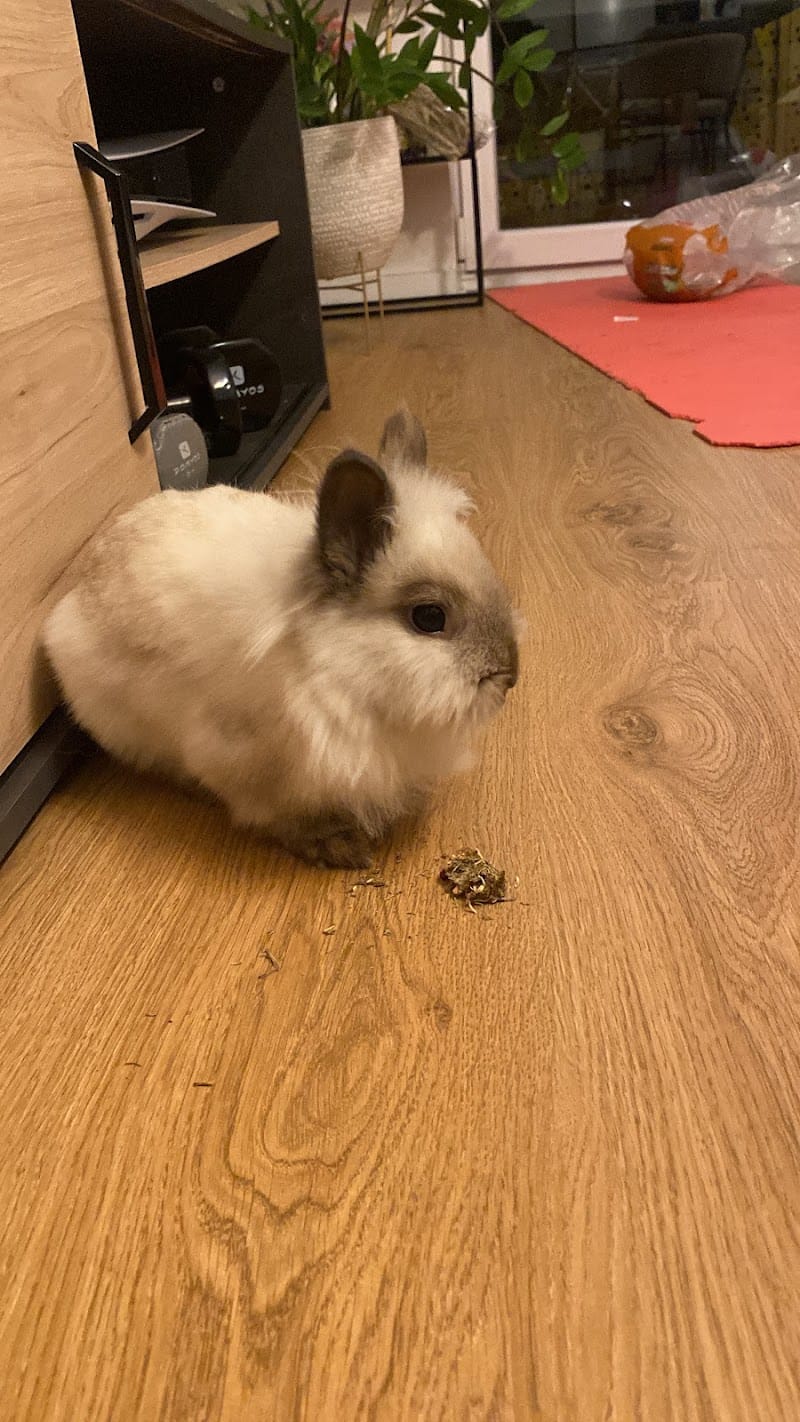 Bunny Binkies Alsace