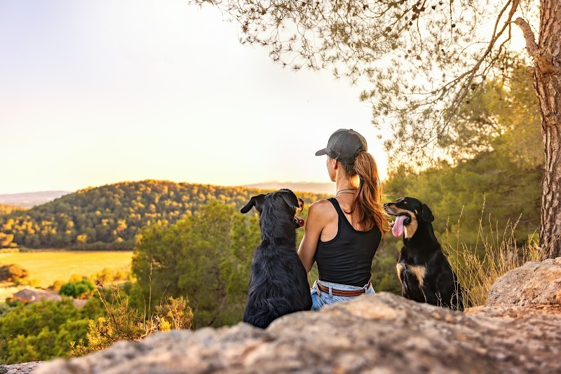 Cani Be Happy — dogsitter à Cavaillon