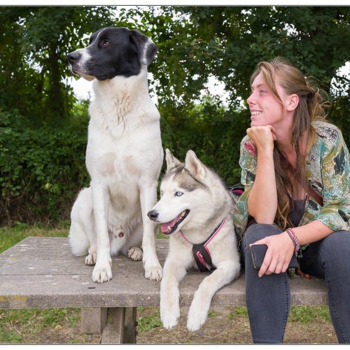 Cani opée — dogsitter à Nort-sur-Erdre