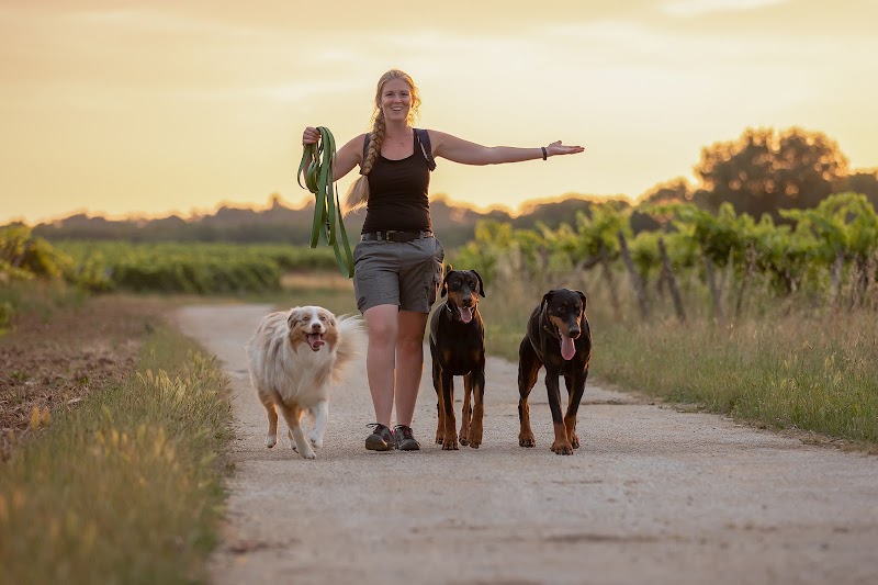 Cani Plein Air — dogsitter à Angoulême