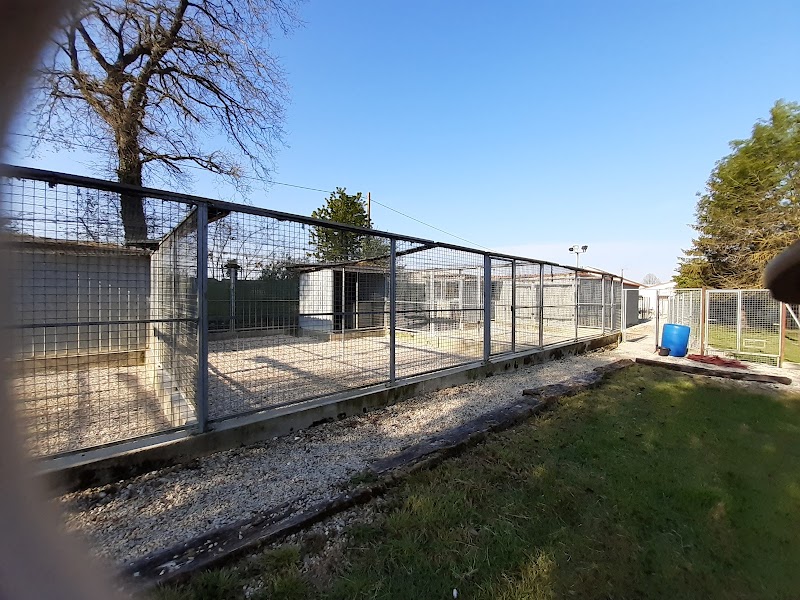Cani-Services — dogsitter à Cognac