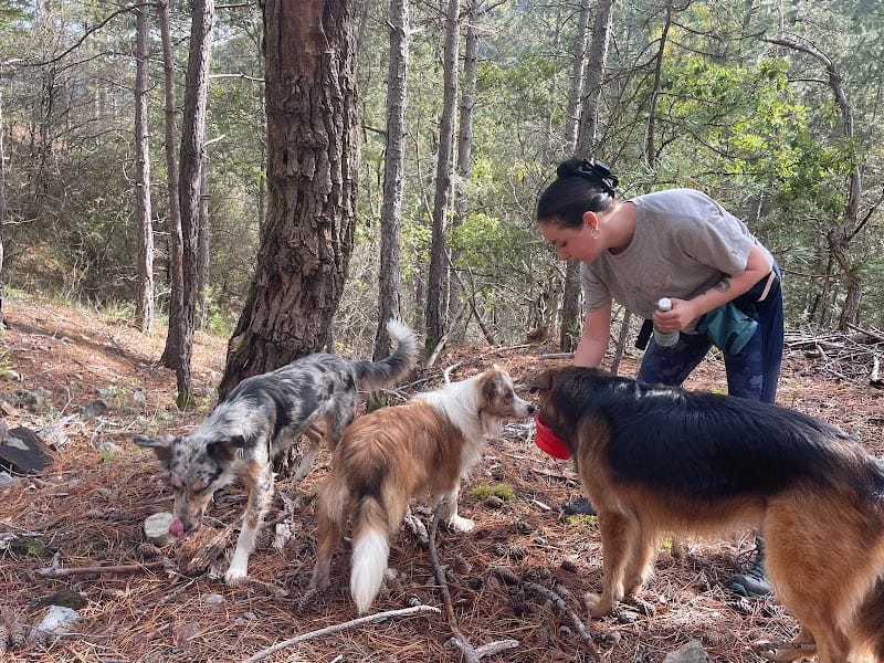 Cani Walk — dogsitter à Digne-les-Bains