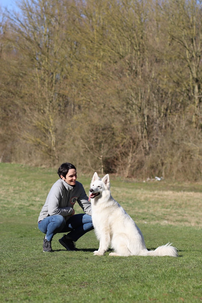 CANID'éduc Amandine STEPHAN — dogsitter à Lille