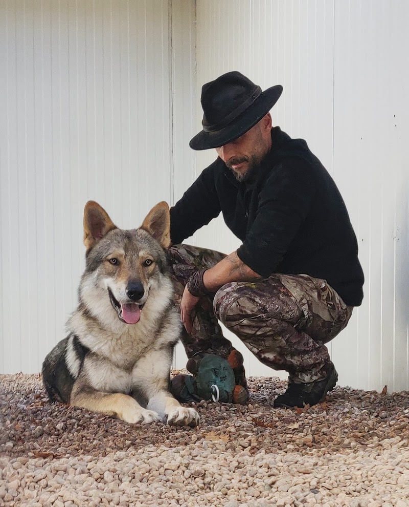 Canis intervention — dogsitter à Sainte-Marie-aux-Mines