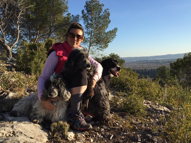 Canisport — dogsitter à Cavaillon