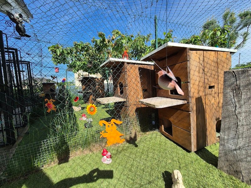 CATHCHAT PENSION — dogsitter à Thonon-les-Bains