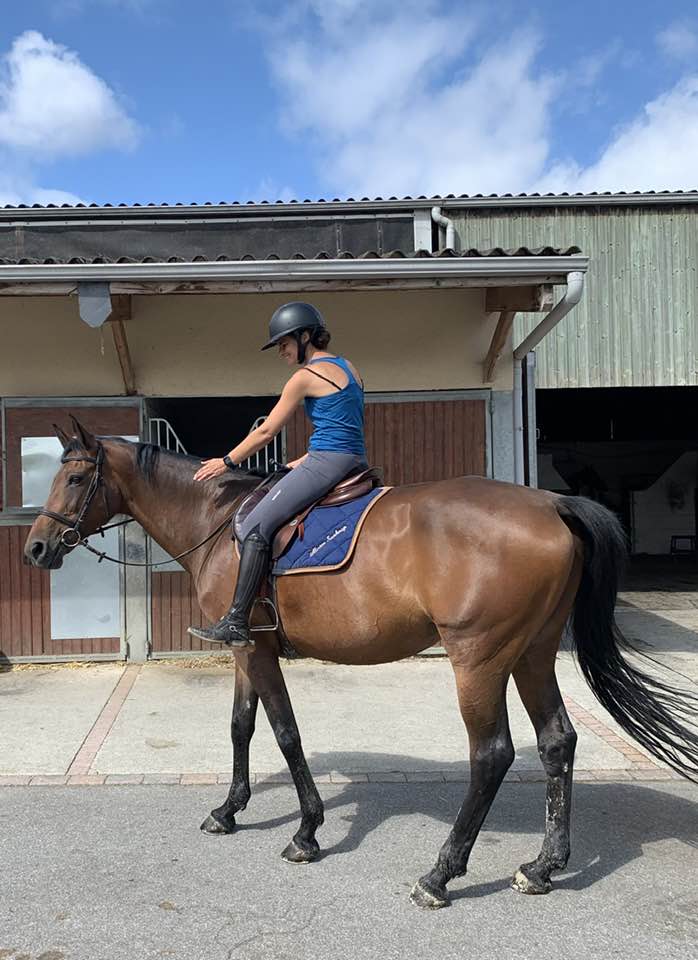 Caval and dreams — dogsitter à Nantes