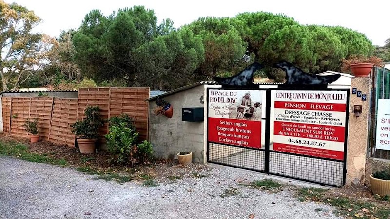 Centre Canin de Montolieu — dogsitter à Bram