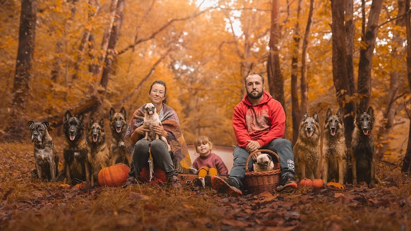 Centre des Pitchounes — dogsitter à Lannemezan