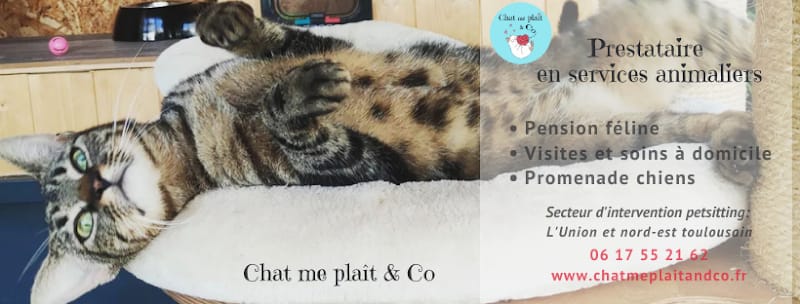 Chat me plaît & Co — dogsitter à Toulouse