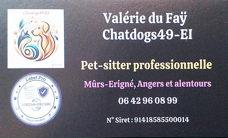 Chatdogs 49, pet-sitter Angers et alentours — dogsitter à Angers