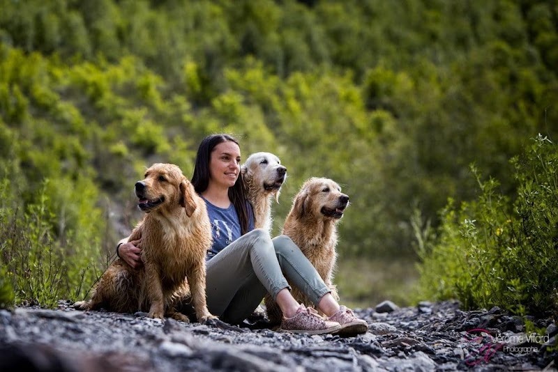 Chez Nanette — dogsitter à Alès