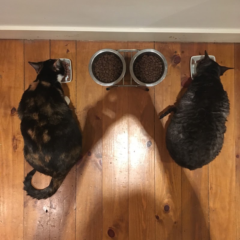 Chouette et Compagnie — dogsitter à Toulouse