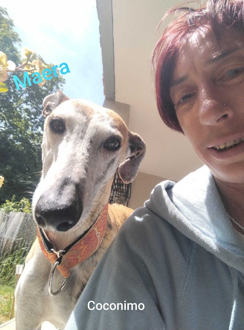 Coconimo Services — dogsitter à Montpellier