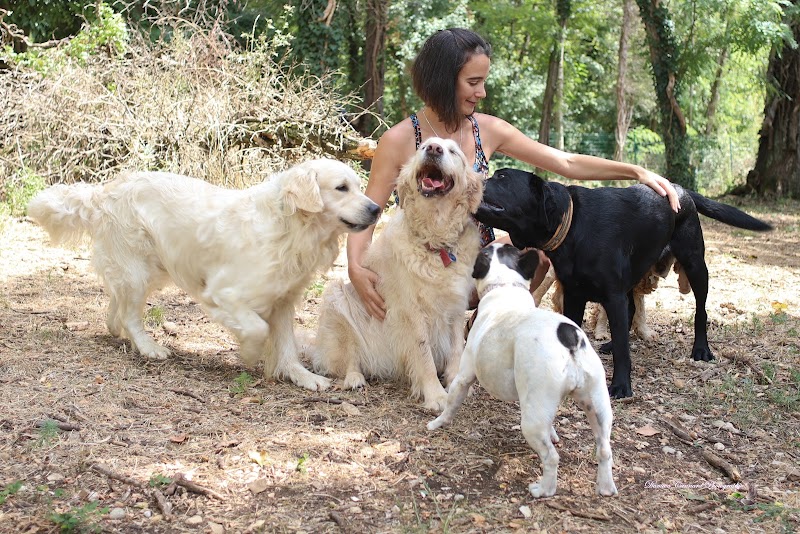 Coeur Sur Pattes — dogsitter à Villefontaine