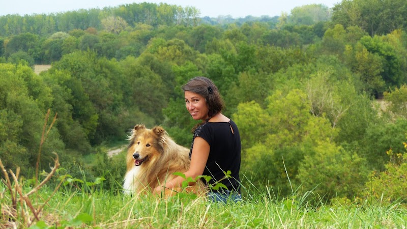 Confidences Humanimales — dogsitter à Angers