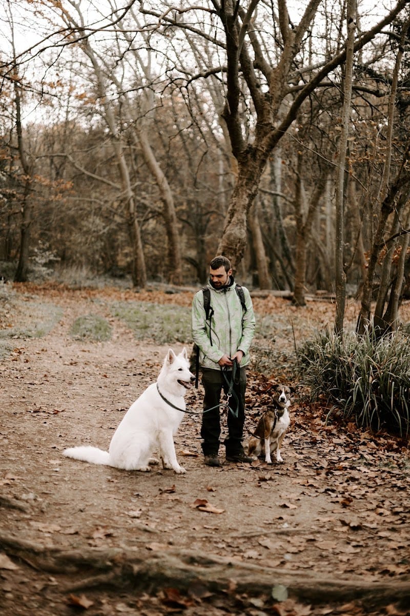 Cool Aventure — dogsitter à Saint-Malo