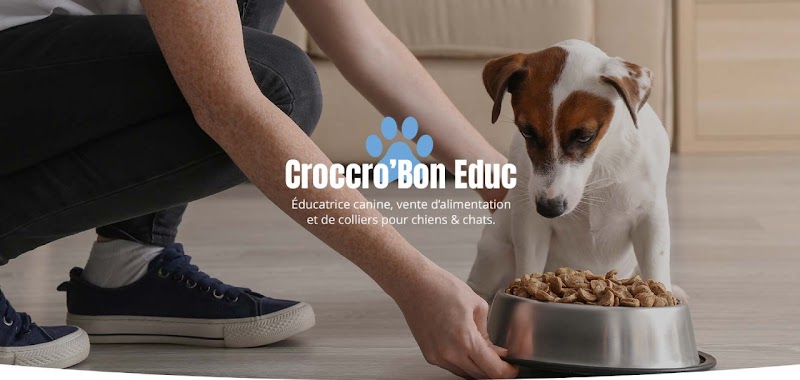Croccro'Bon Éduc — dogsitter à Saint-Avold