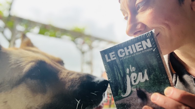 Cynoconsult — dogsitter à Valenciennes