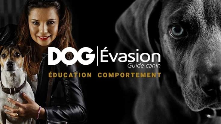 DOG Evasion — dogsitter à Montpellier