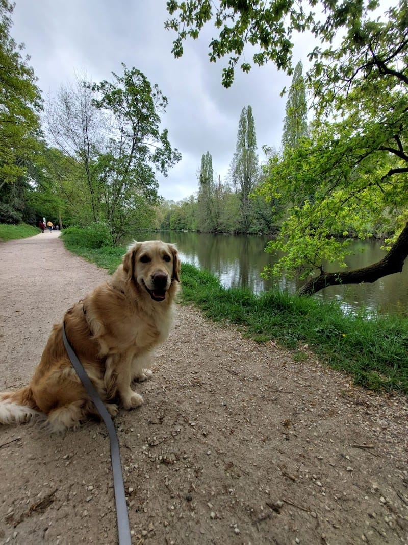 DOG&NOU — dogsitter à Sèvremoine