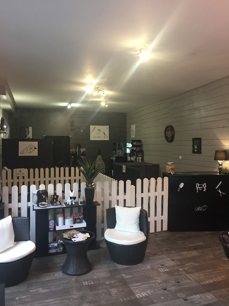 Dog Story — dogsitter à Pineuilh