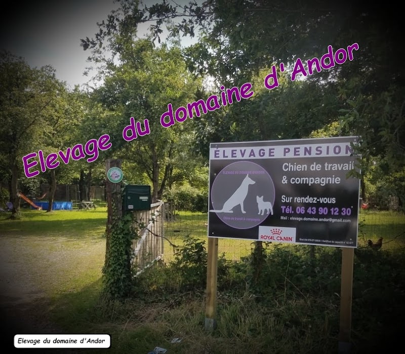 Domaine d'Andor - Élevage - Pension - Éducation — dogsitter à Le Poiré-sur-Vie