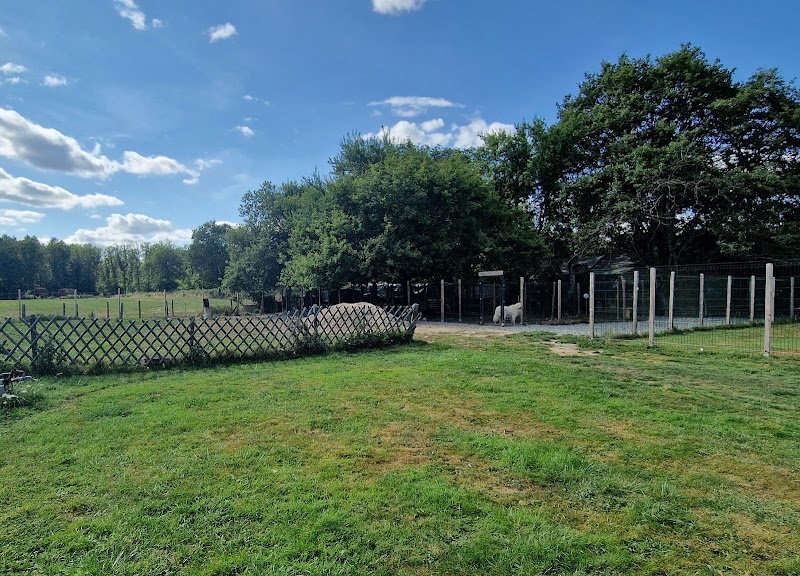 Domaine de la Forêt 42 — dogsitter à Roanne