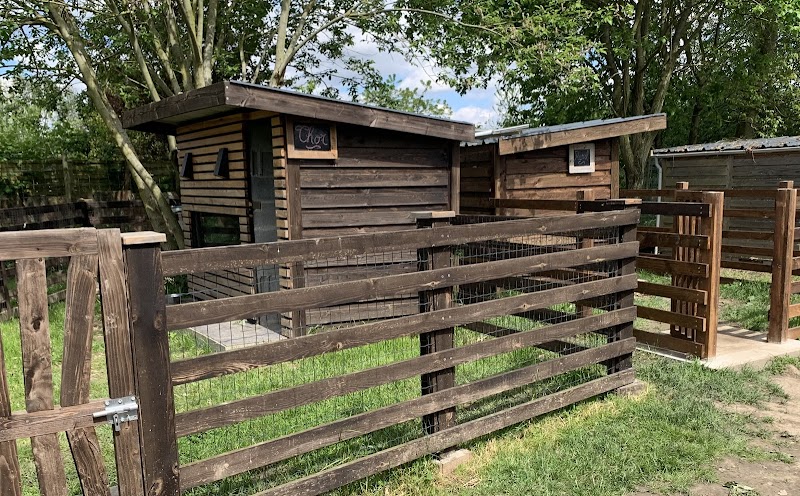 domaine du chene des pres — dogsitter à Douai