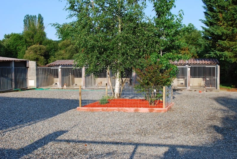 Dorbes Gérard — dogsitter à Cazères