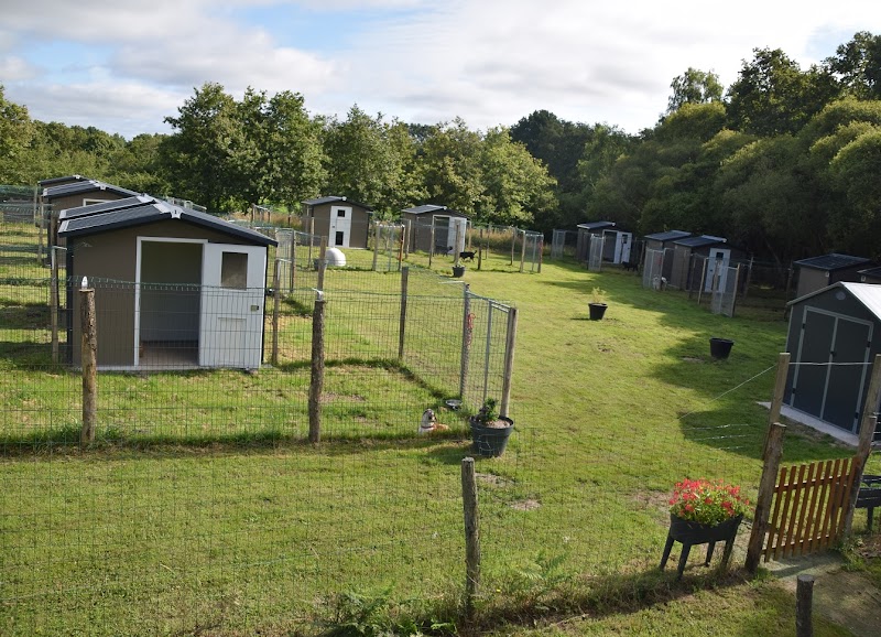 Éducation et Pension Canine du Brivet — dogsitter à Pontchâteau