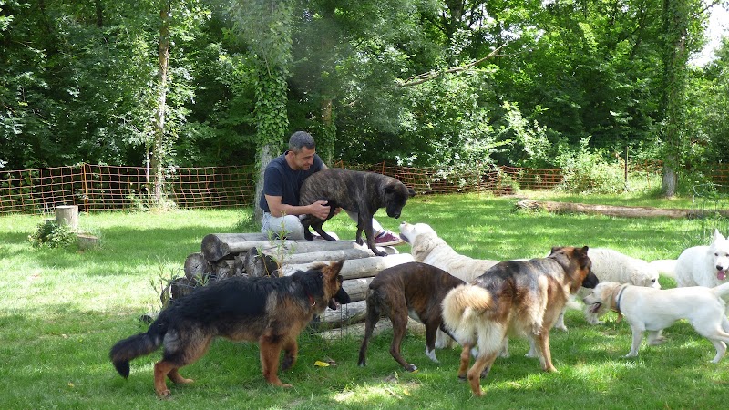 EDUKADOG — dogsitter à Machecoul-Saint-Même