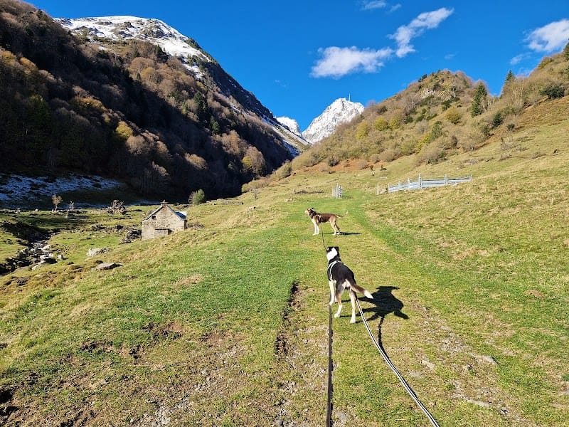 Emma'nimalis, visite d'animaux de compagnie à votre domicile et promenade sur site touristique — dogsitter à Bagnères-de-Bigorre