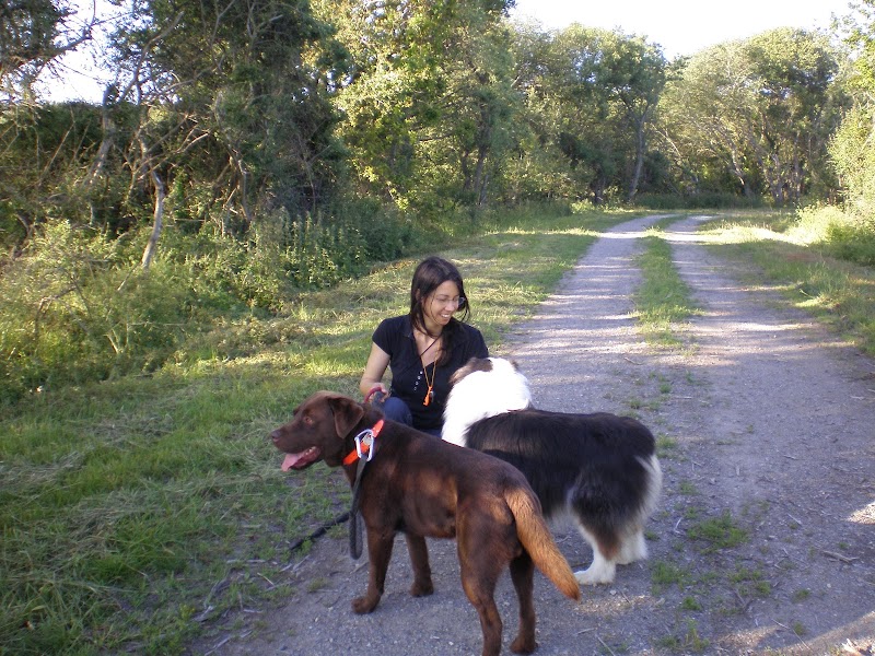 F'animo - Pension canine, visites à domicile. — dogsitter à Guérande