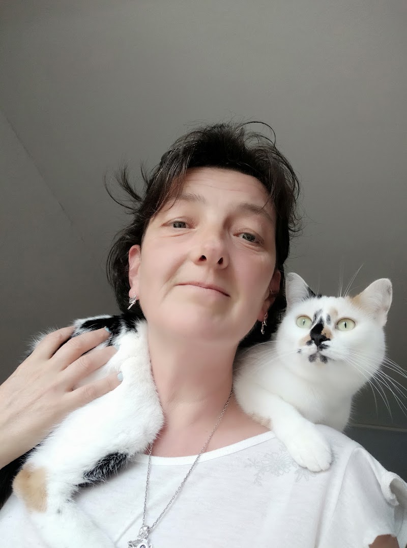 Faustyne & Compagnie — dogsitter à Lille