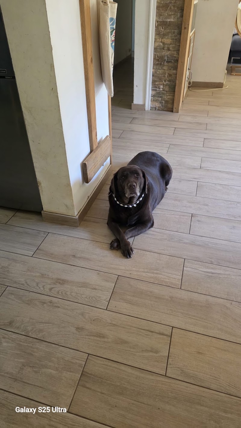 Garde d'animaux : la maison des animaux — dogsitter à Montpellier